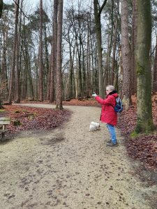 Forrest, Ermelo